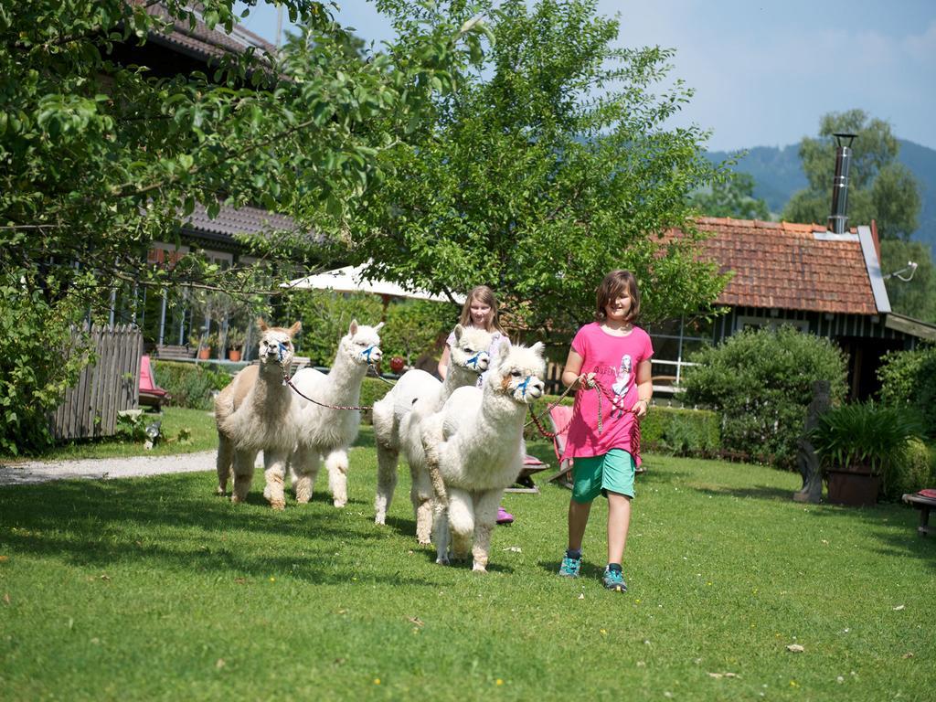 Landhaus Benediktenhof Bad Tölz Δωμάτιο φωτογραφία